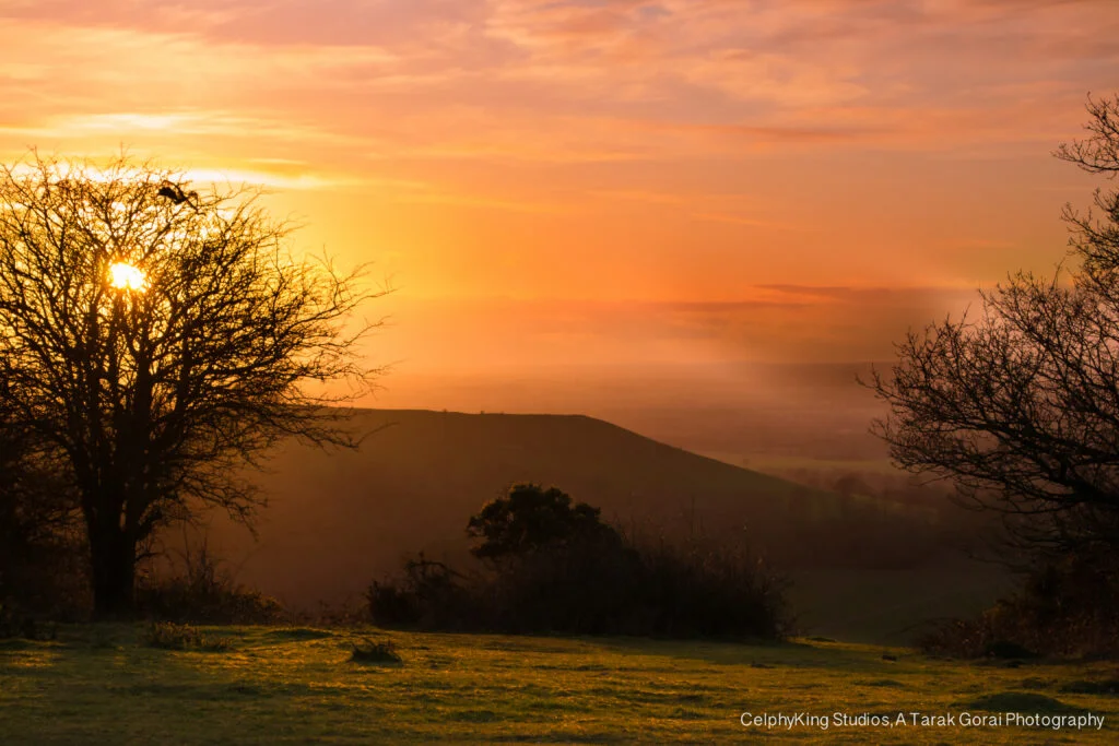 Coomb Hill, Aylesbury