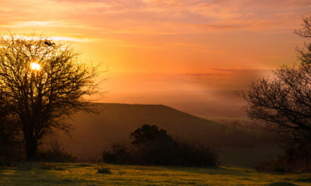 Chiltern Hills: A Leisurely Stroll up the Coomb Hill offers a perfect viewpoint